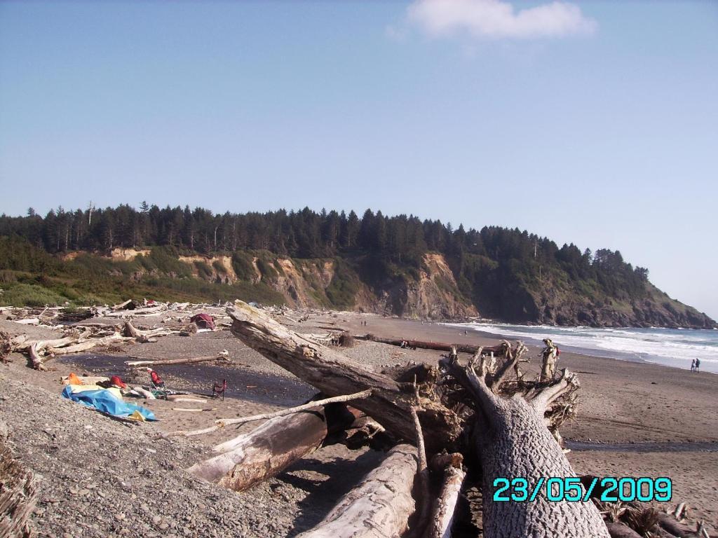 Rooster Hill Guest House Port Angeles Luaran gambar